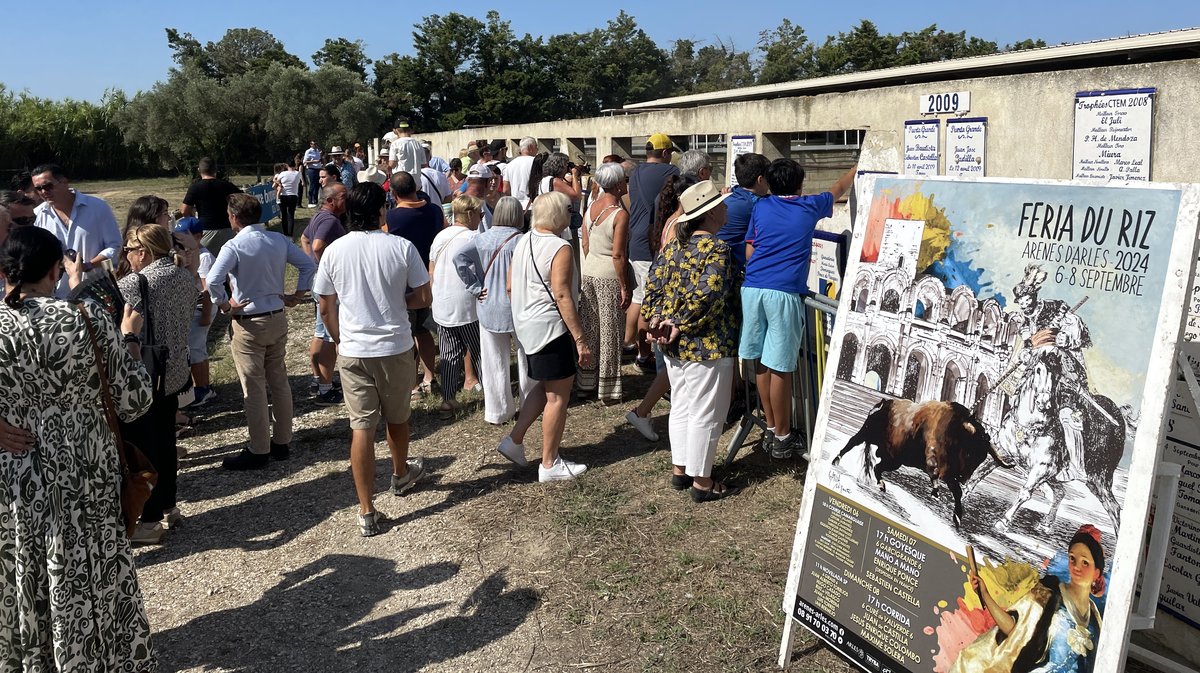 Espace toros Arles Gimeaux Sonnailler Riz 2024 (Photo Anthony Maurin)