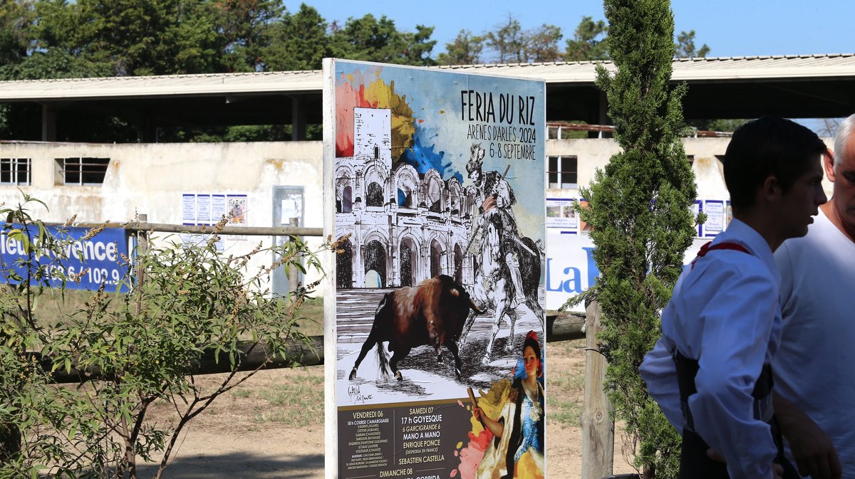 Espace toros Arles Gimeaux Sonnailler Riz 2024 (Photo Anthony Maurin)