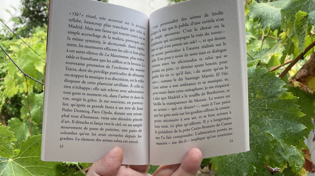 François Zumbiehl « Ma corrida. L'Annonce faite à Séville » Au Diable Vauvert (Photo Anthony Maurin)