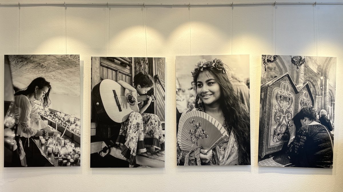 L'expo "Au cœur des passions" à voir jusqu'au 20 septembre 2024 à la Maison de ma Région Nîmes (Photo Anthony Maurin)