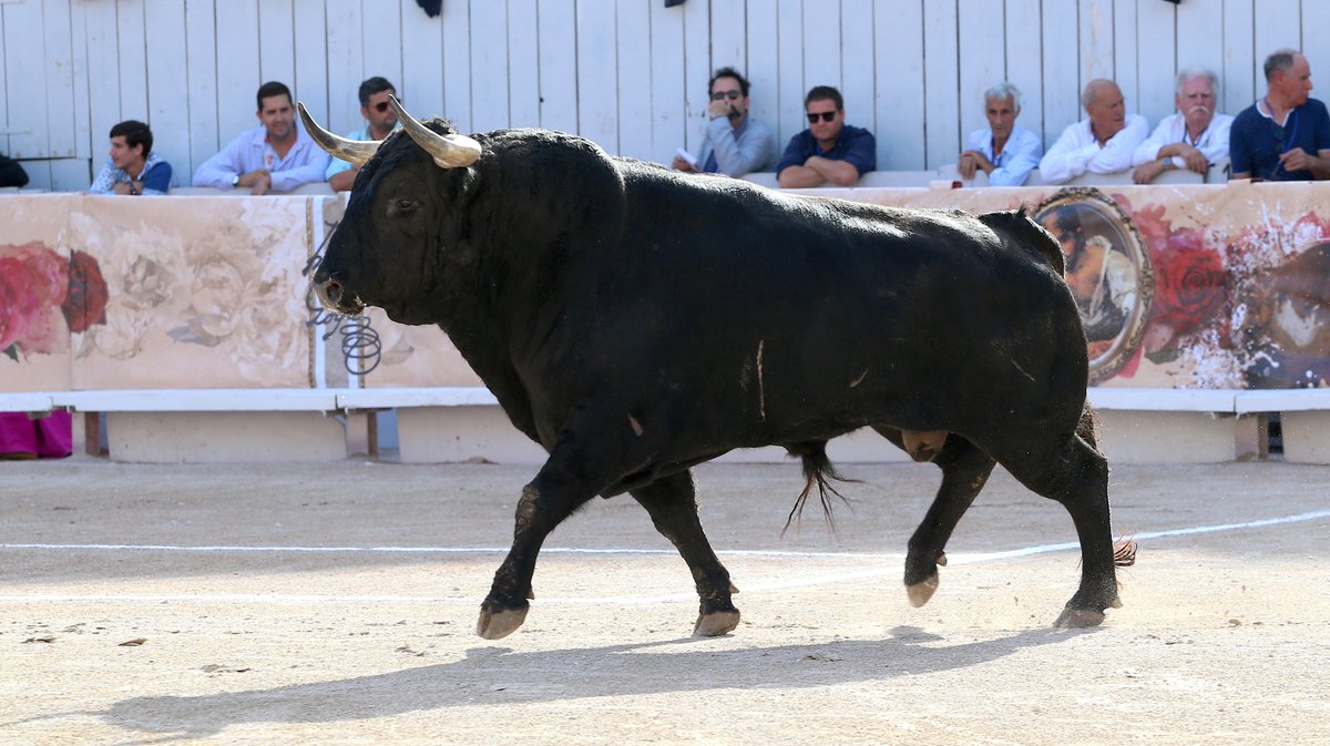 Mano a mano corrida goyesque de Garcigrande despedida d'Enrique Ponce et Sébastien Castella (Photo Anthony Maurin)