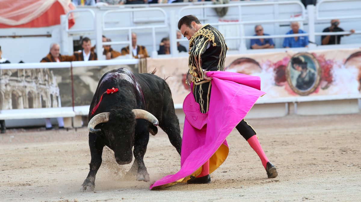 Mano a mano corrida goyesque de Garcigrande despedida d'Enrique Ponce et Sébastien Castella (Photo Anthony Maurin)