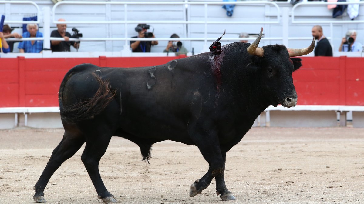 Corrida de Curé de Valverde pour Juan de Castilla, Jesus Enrique Colombo et Maxime Solera (Photo Anthony Maurin)