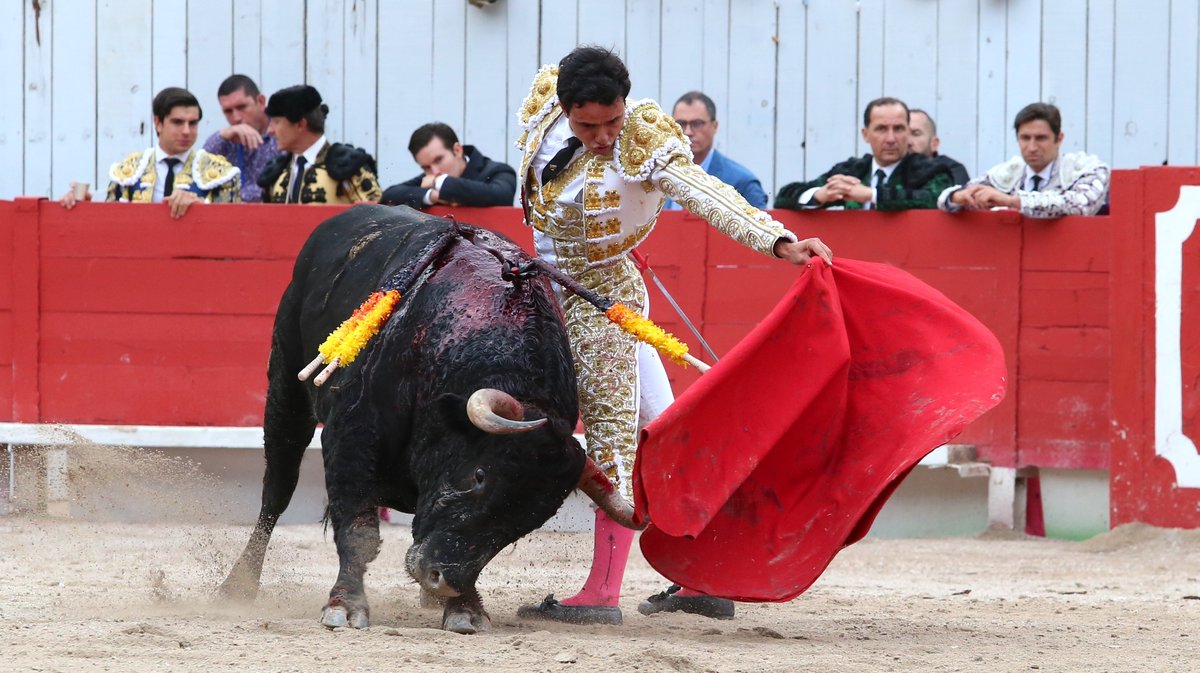 Corrida de Curé de Valverde pour Juan de Castilla, Jesus Enrique Colombo et Maxime Solera (Photo Anthony Maurin)