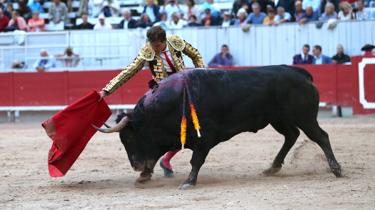 Corrida de Curé de Valverde pour Juan de Castilla, Jesus Enrique Colombo et Maxime Solera (Photo Anthony Maurin)