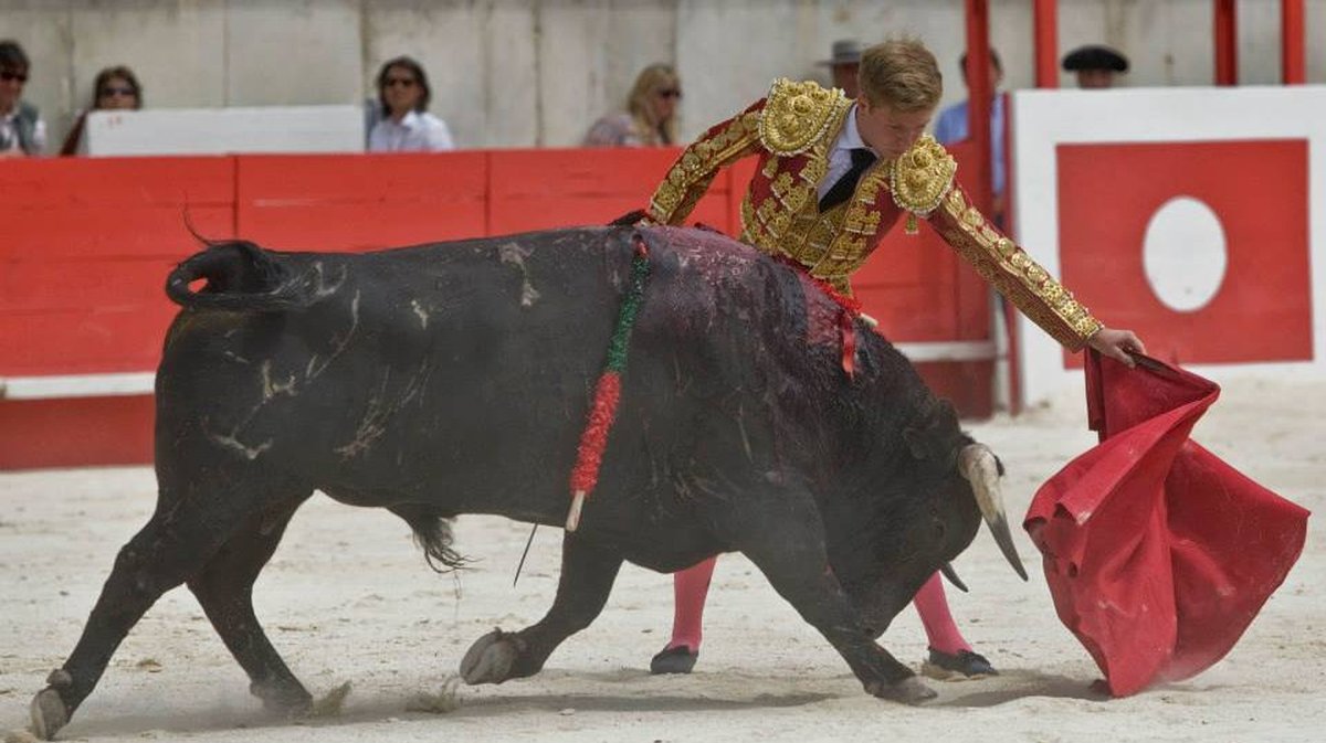 Clemente ici lors de la feria de Pentecôte 2014 à Nîmes (Photo Archives Anthony Maurin)