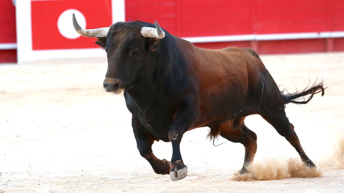 Corrida de Jandilla pour l'alternative de Lalo de Maria avec Sébastien Castella et Jose Maria Manzanares (Photo Anthony Maurin)