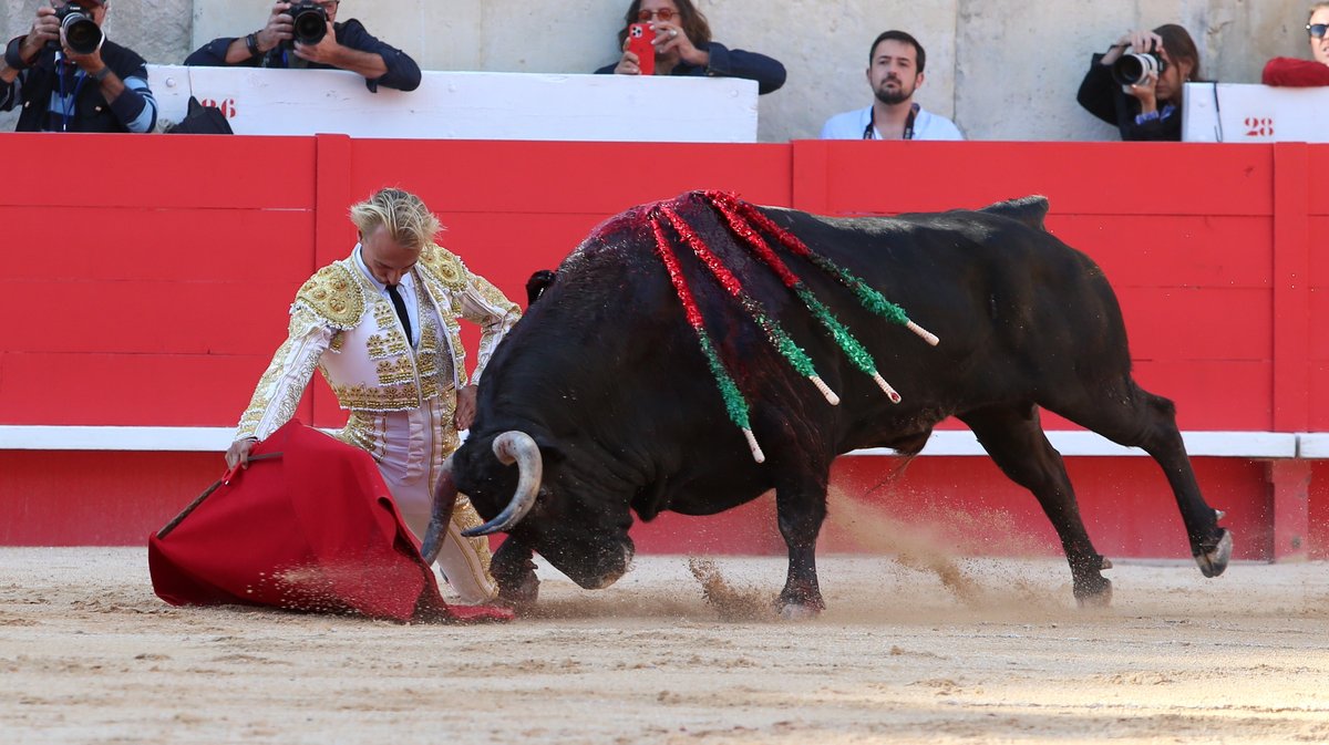 Corrida de Jandilla pour l'alternative de Lalo de Maria avec Sébastien Castella et Jose Maria Manzanares (Photo Anthony Maurin)