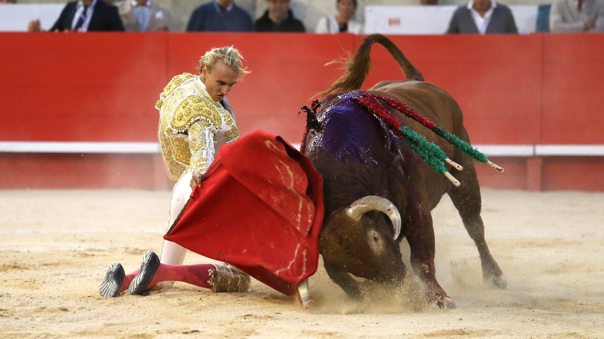 Corrida de Jandilla pour l'alternative de Lalo de Maria avec Sébastien Castella et Jose Maria Manzanares (Photo Anthony Maurin)