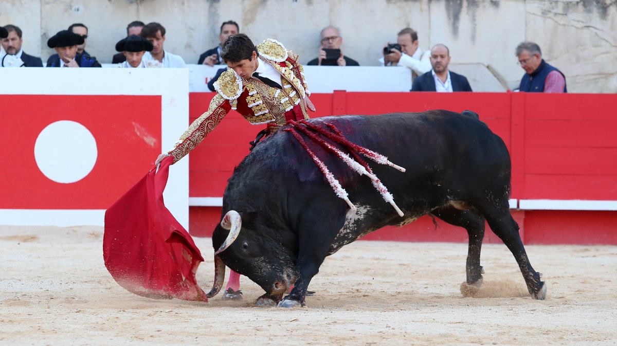 Corrida de Jandilla pour l'alternative de Lalo de Maria avec Sébastien Castella et Jose Maria Manzanares (Photo Anthony Maurin)