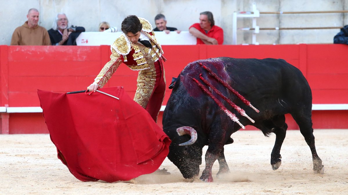 Corrida de Jandilla pour l'alternative de Lalo de Maria avec Sébastien Castella et Jose Maria Manzanares (Photo Anthony Maurin)