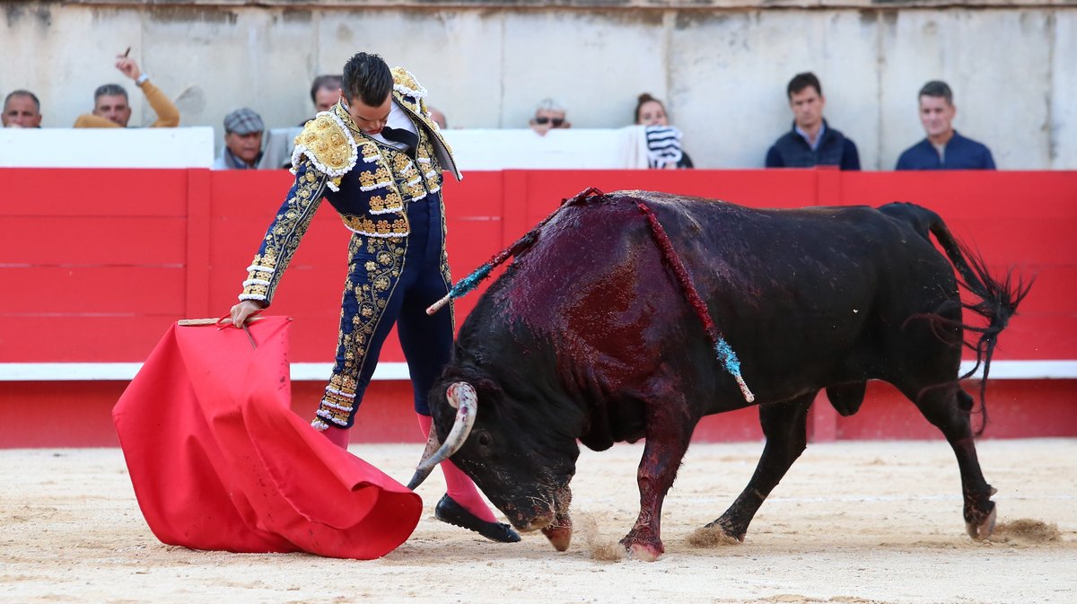 Corrida de Jandilla pour l'alternative de Lalo de Maria avec Sébastien Castella et Jose Maria Manzanares (Photo Anthony Maurin)