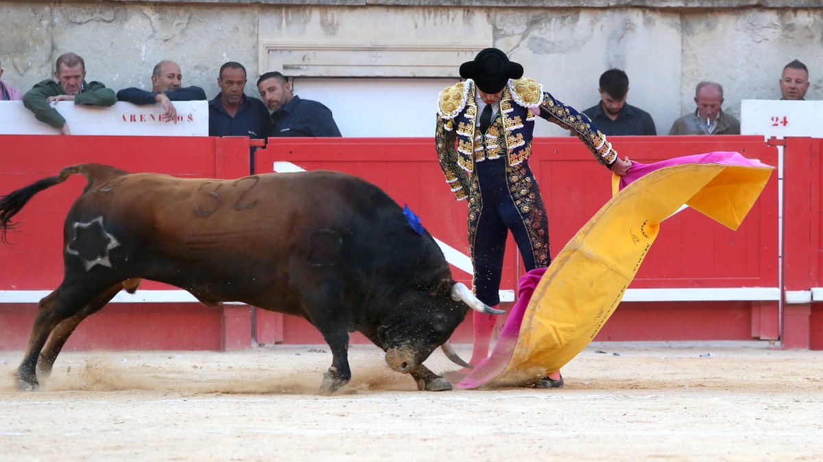 Corrida de Jandilla pour l'alternative de Lalo de Maria avec Sébastien Castella et Jose Maria Manzanares (Photo Anthony Maurin)