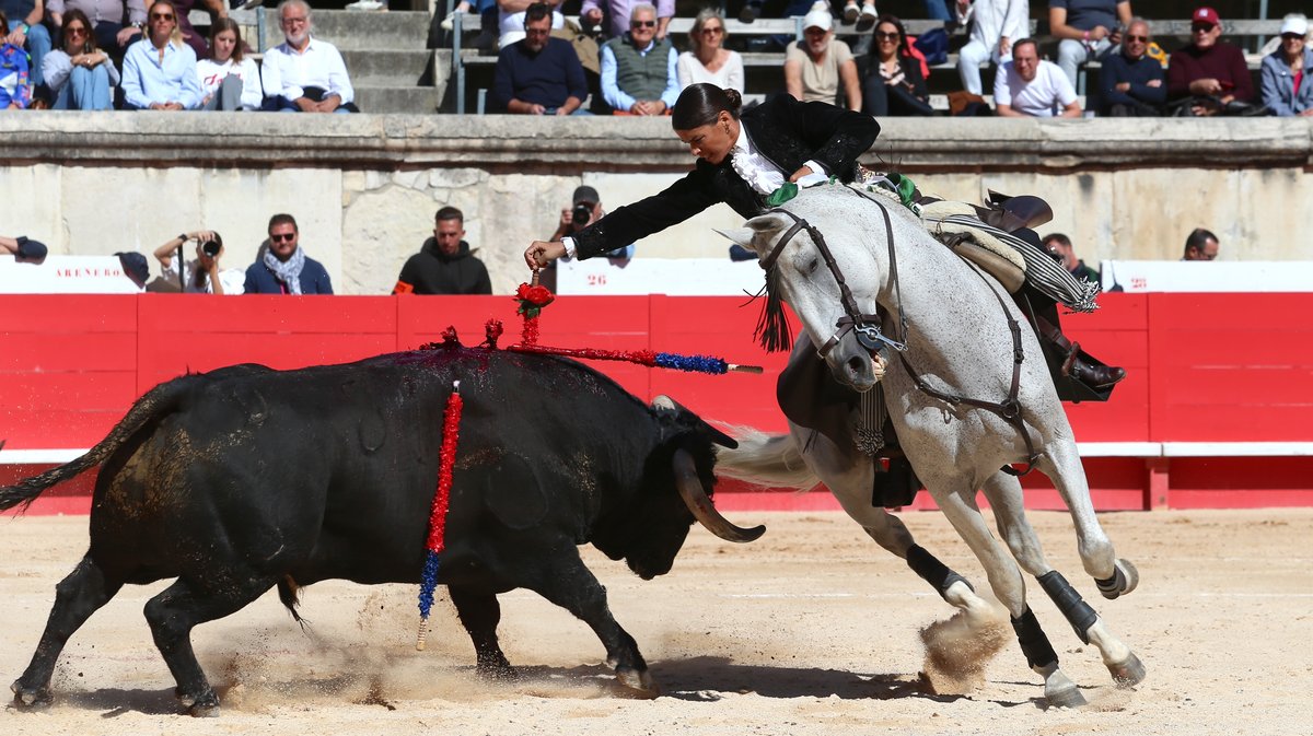 Corrida mixte avec toros de Bohorquez et Robert Margé pour Léa Vicens, Sébastien Castella et la confirmation d'alternative de Clemente (Photo Anthony Maurin)