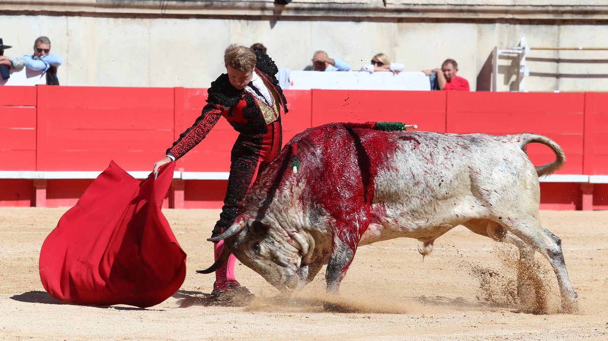 Corrida mixte avec toros de Bohorquez et Robert Margé pour Léa Vicens, Sébastien Castella et la confirmation d'alternative de Clemente (Photo Anthony Maurin)