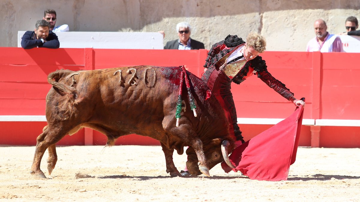 Corrida mixte avec toros de Bohorquez et Robert Margé pour Léa Vicens, Sébastien Castella et la confirmation d'alternative de Clemente (Photo Anthony Maurin)