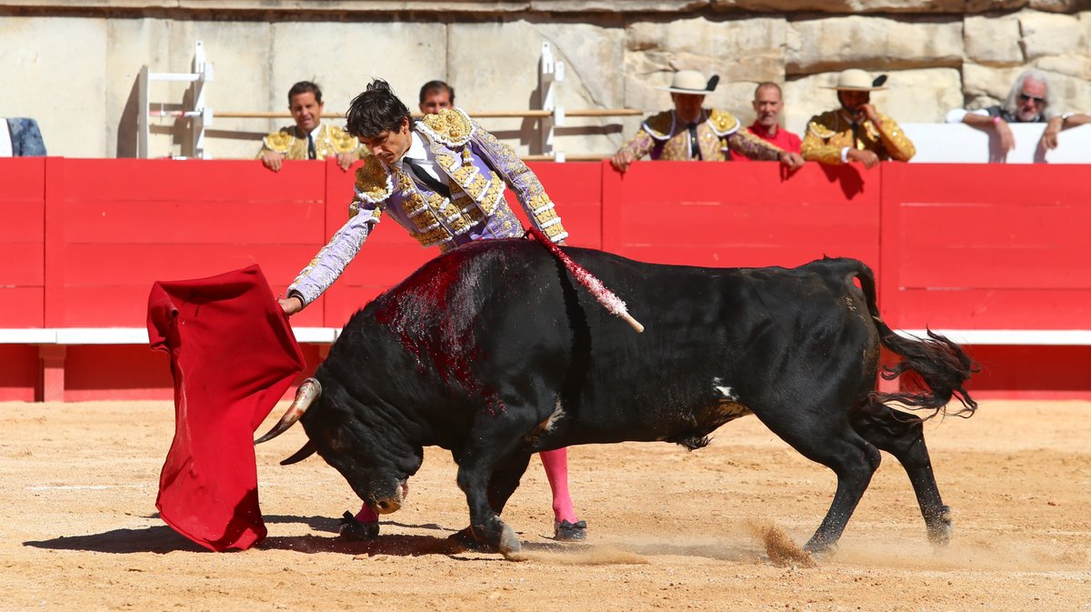 Corrida mixte avec toros de Bohorquez et Robert Margé pour Léa Vicens, Sébastien Castella et la confirmation d'alternative de Clemente (Photo Anthony Maurin)