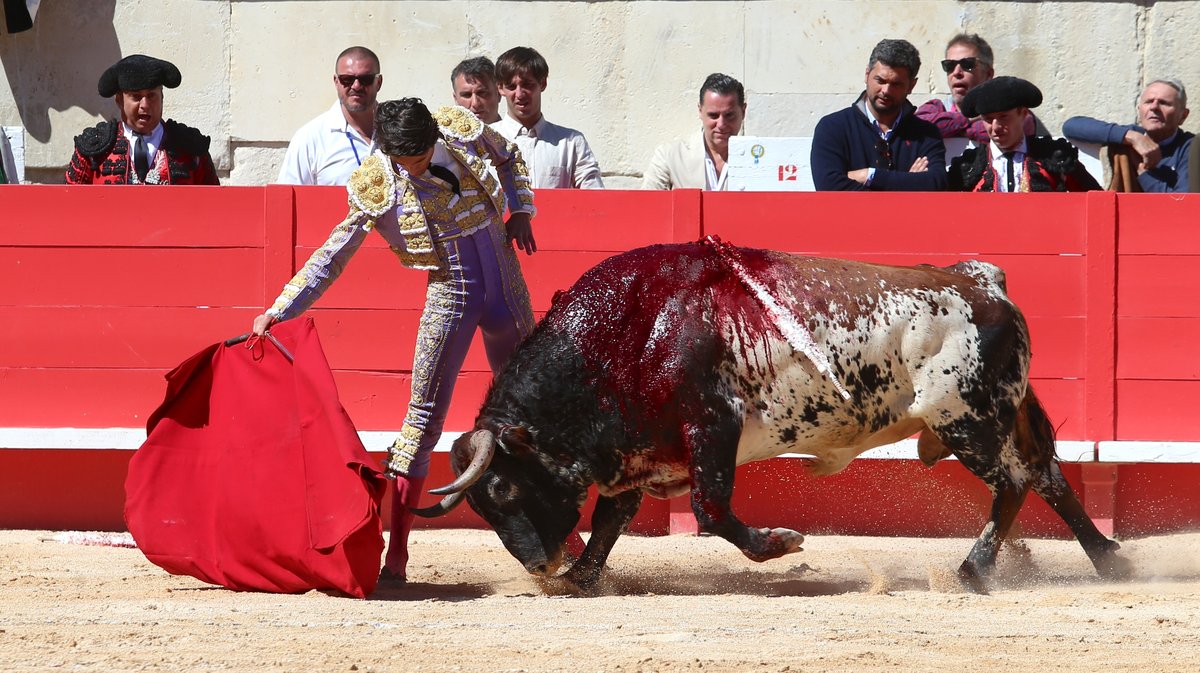 Corrida mixte avec toros de Bohorquez et Robert Margé pour Léa Vicens, Sébastien Castella et la confirmation d'alternative de Clemente (Photo Anthony Maurin)