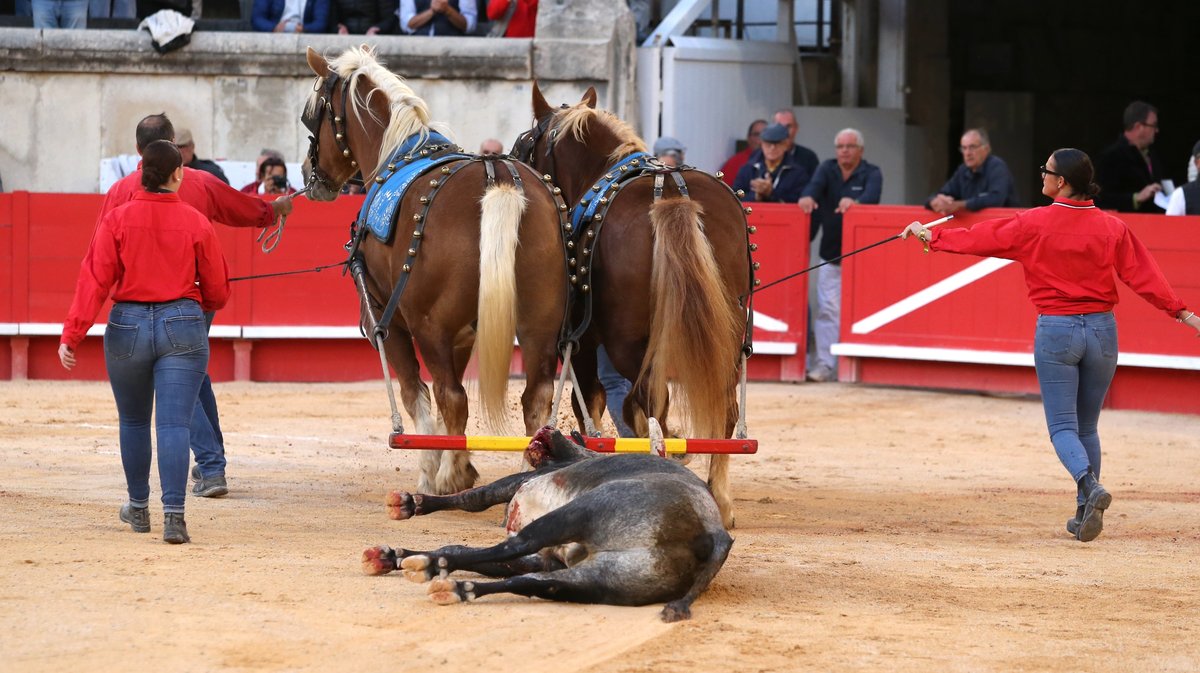 Solo de La Quinta pour Daniel Luque (Photo Anthony Maurin)