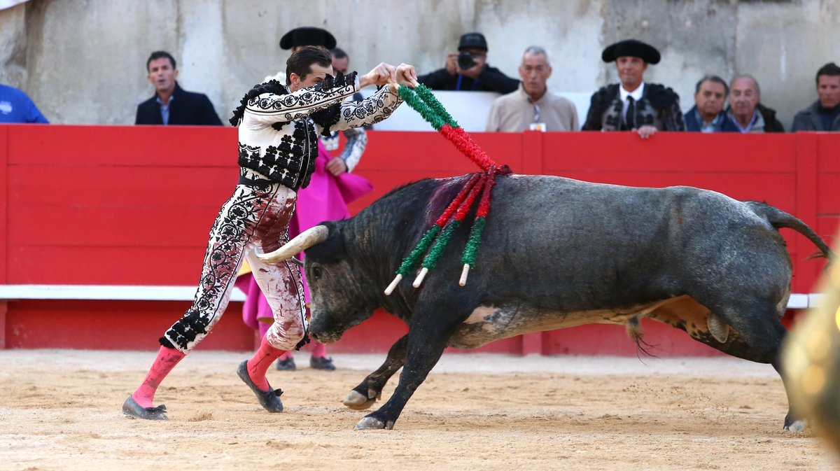 Solo de La Quinta pour Daniel Luque (Photo Anthony Maurin)