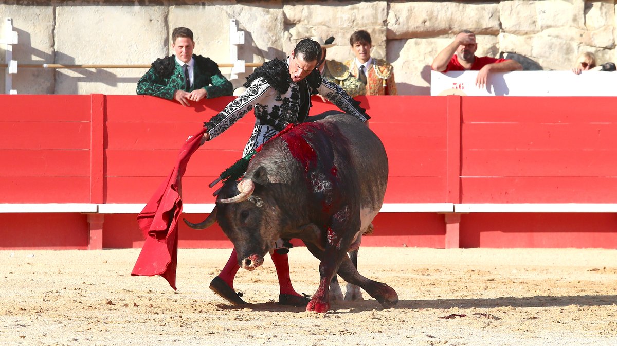 Solo de La Quinta pour Daniel Luque (Photo Anthony Maurin)