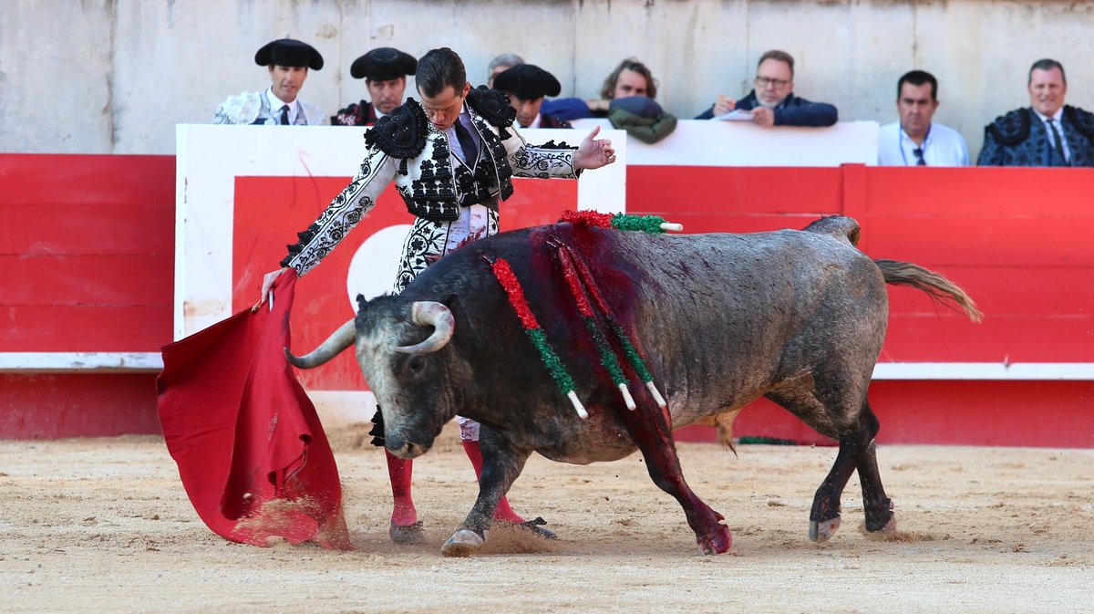 Solo de La Quinta pour Daniel Luque (Photo Anthony Maurin)