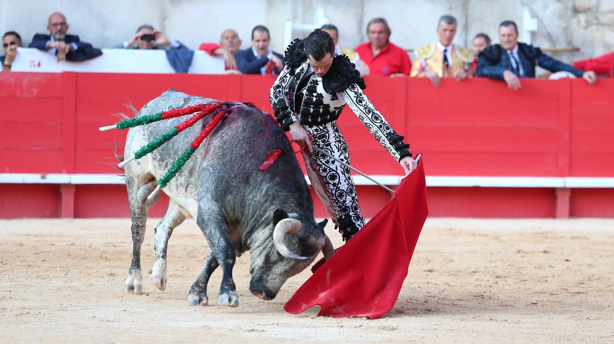 Solo de La Quinta pour Daniel Luque (Photo Anthony Maurin)