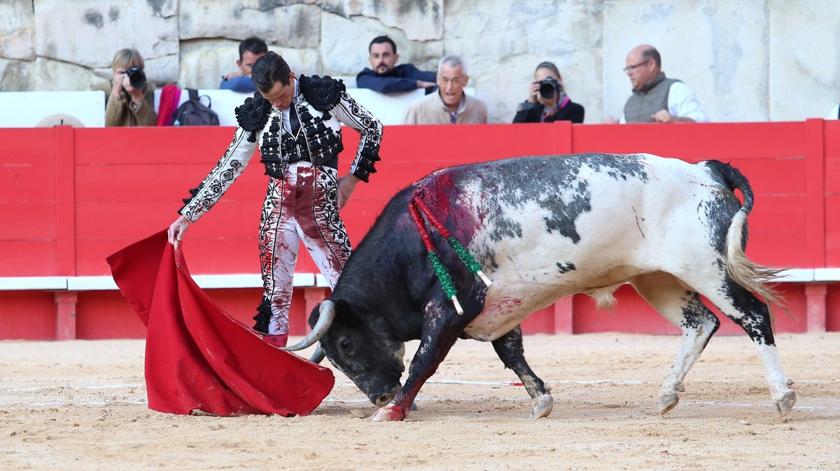 Solo de La Quinta pour Daniel Luque (Photo Anthony Maurin)