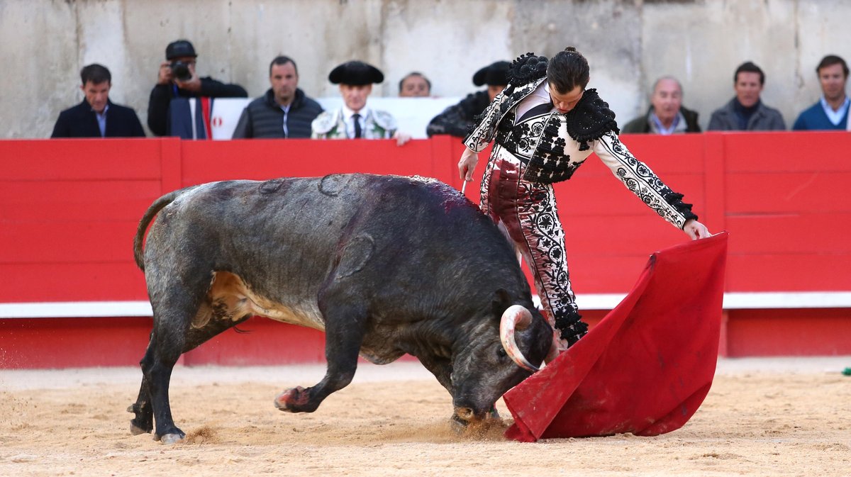 Solo de La Quinta pour Daniel Luque (Photo Anthony Maurin)