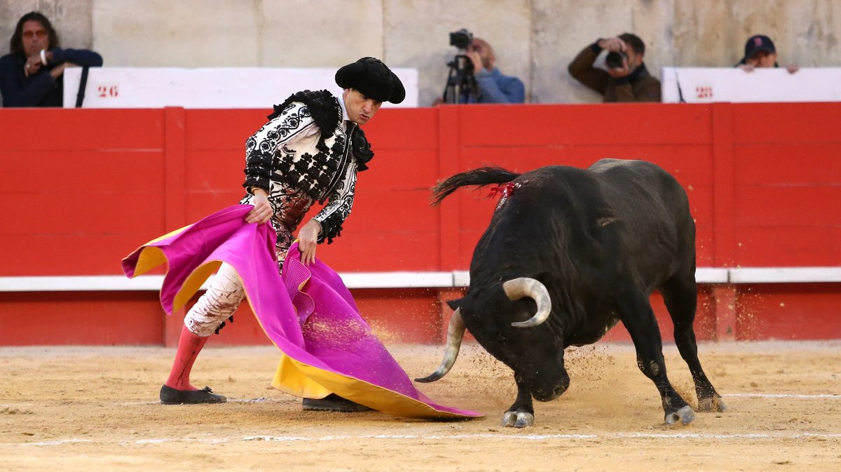 Solo de La Quinta pour Daniel Luque (Photo Anthony Maurin)