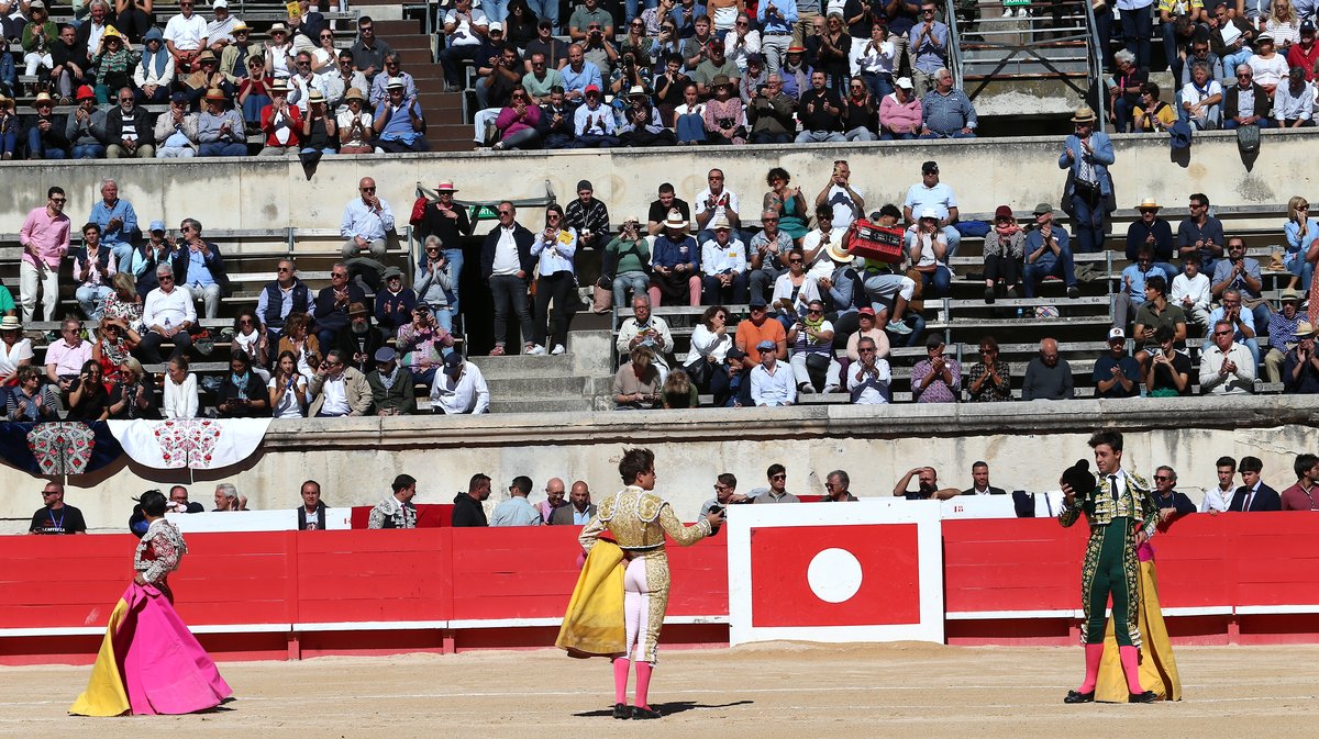 Novillada de Torrehendilla-Soberbina pour Nino Julian, Alejandro Chicharro et Javier Zulueta (Photo Anthony Maurin)