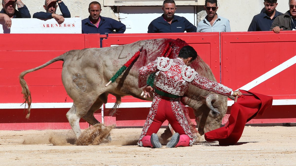 Novillada de Torrehendilla-Soberbina pour Nino Julian, Alejandro Chicharro et Javier Zulueta (Photo Anthony Maurin)