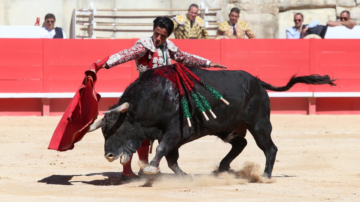 Novillada de Torrehendilla-Soberbina pour Nino Julian, Alejandro Chicharro et Javier Zulueta (Photo Anthony Maurin)