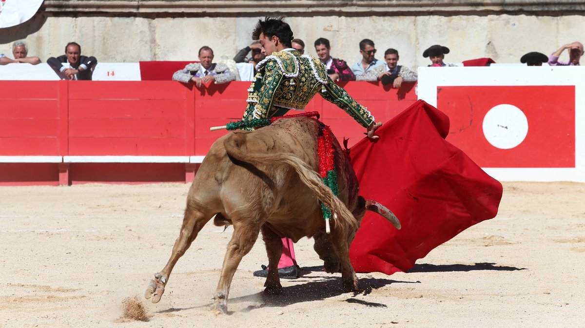 Novillada de Torrehendilla-Soberbina pour Nino Julian, Alejandro Chicharro et Javier Zulueta (Photo Anthony Maurin)