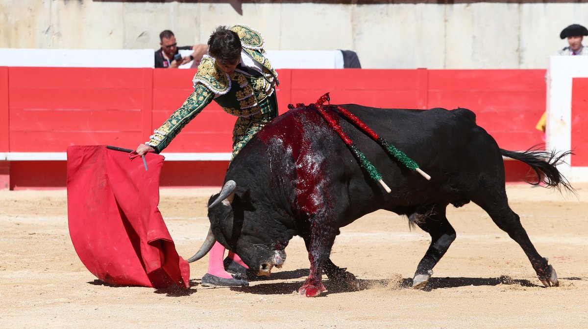 Novillada de Torrehendilla-Soberbina pour Nino Julian, Alejandro Chicharro et Javier Zulueta (Photo Anthony Maurin)