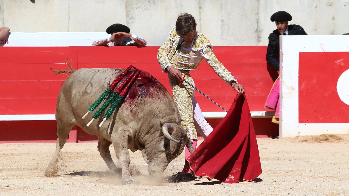 Novillada de Torrehendilla-Soberbina pour Nino Julian, Alejandro Chicharro et Javier Zulueta (Photo Anthony Maurin)