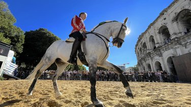 Corrida mixte avec des toros d'El Capeo et Victoriano del Rio pour la despedida de Pablo Hermoso de Mendoza, Alejandro Talavante et Juan Ortega (Photo Anthony Maurin)