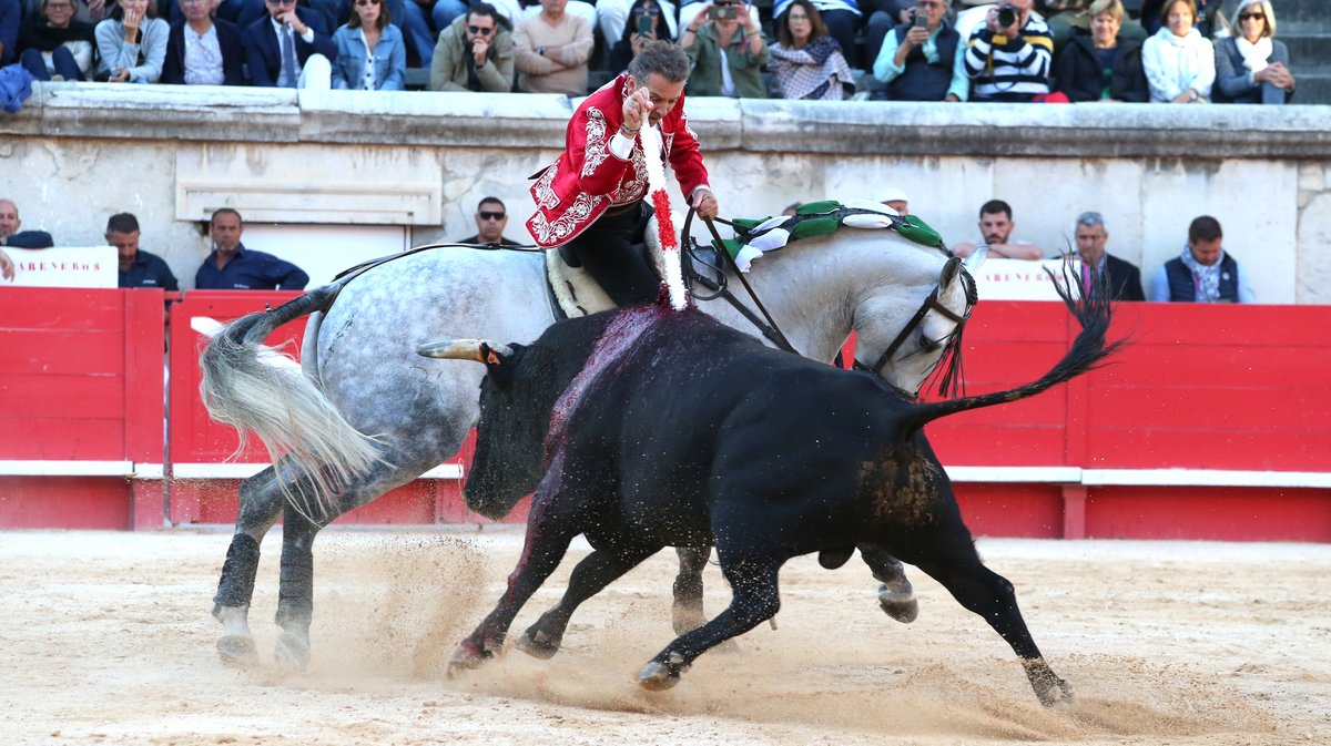 Corrida mixte avec des toros d'El Capeo et Victoriano del Rio pour la despedida de Pablo Hermoso de Mendoza, Alejandro Talavante et Juan Ortega (Photo Anthony Maurin)