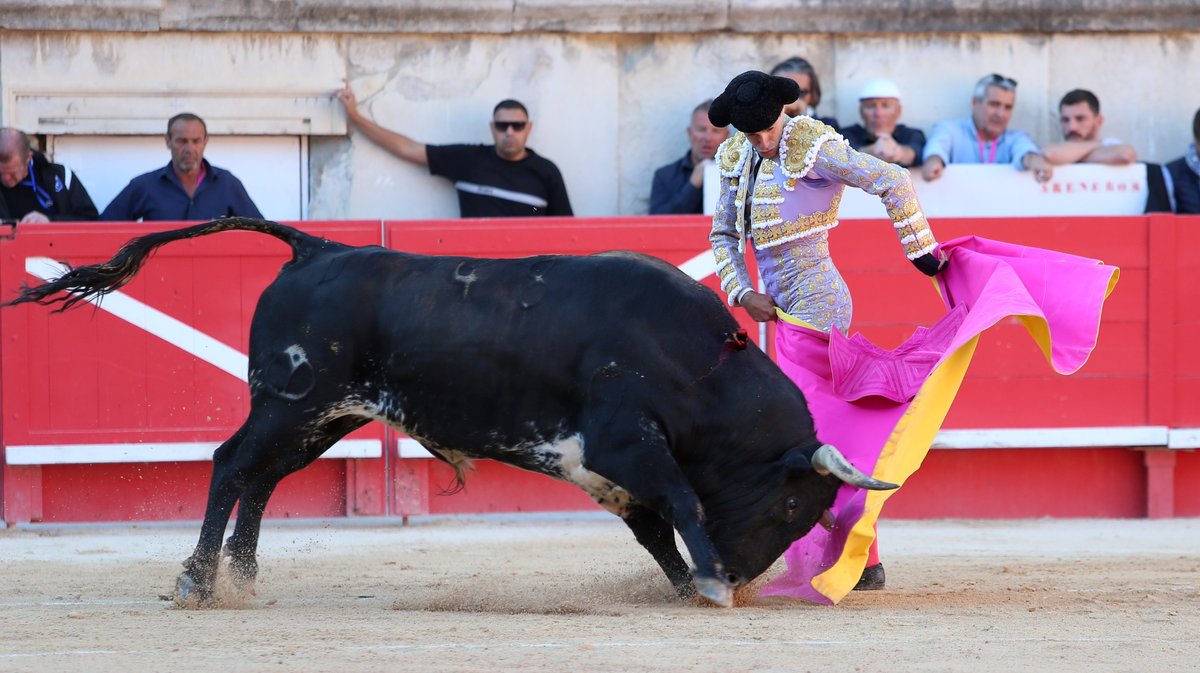 Corrida mixte avec des toros d'El Capeo et Victoriano del Rio pour la despedida de Pablo Hermoso de Mendoza, Alejandro Talavante et Juan Ortega (Photo Anthony Maurin)