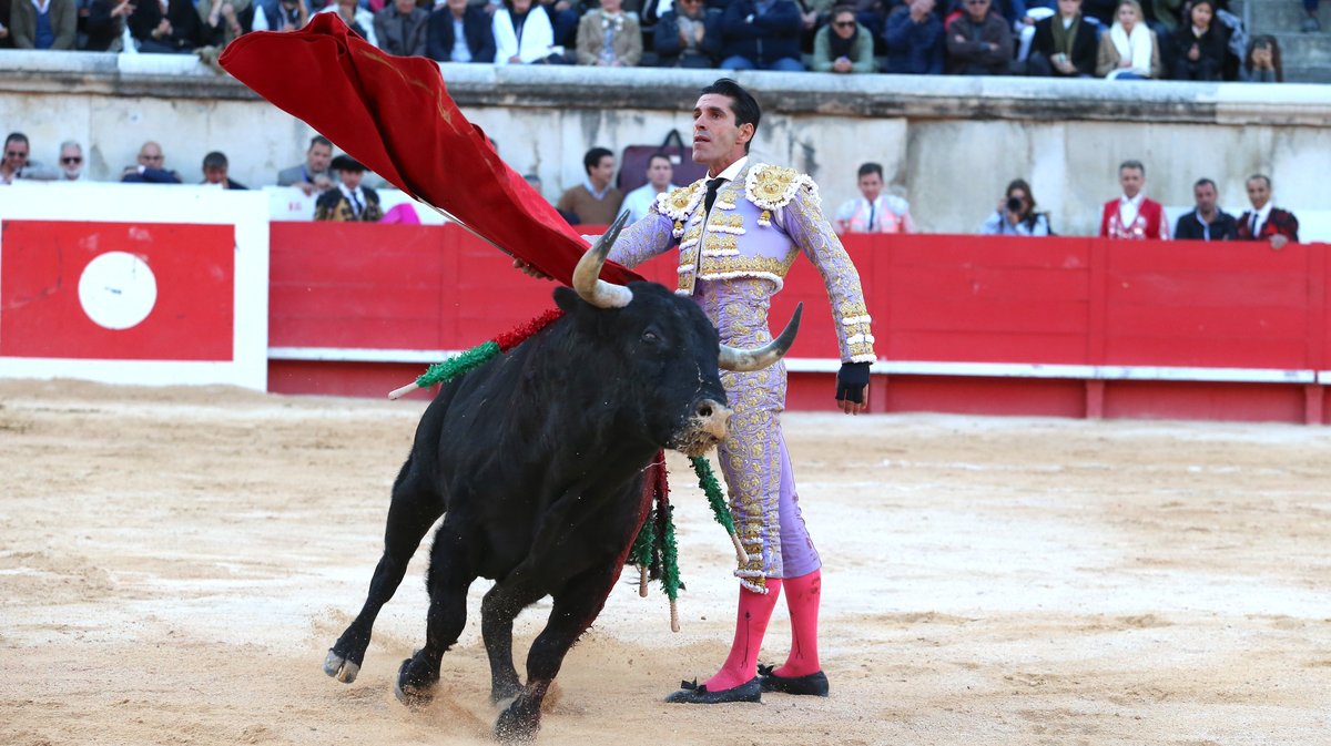 Corrida mixte avec des toros d'El Capeo et Victoriano del Rio pour la despedida de Pablo Hermoso de Mendoza, Alejandro Talavante et Juan Ortega (Photo Anthony Maurin)