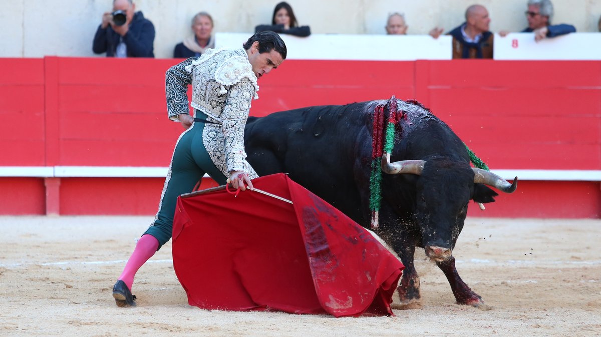 Corrida mixte avec des toros d'El Capeo et Victoriano del Rio pour la despedida de Pablo Hermoso de Mendoza, Alejandro Talavante et Juan Ortega (Photo Anthony Maurin)