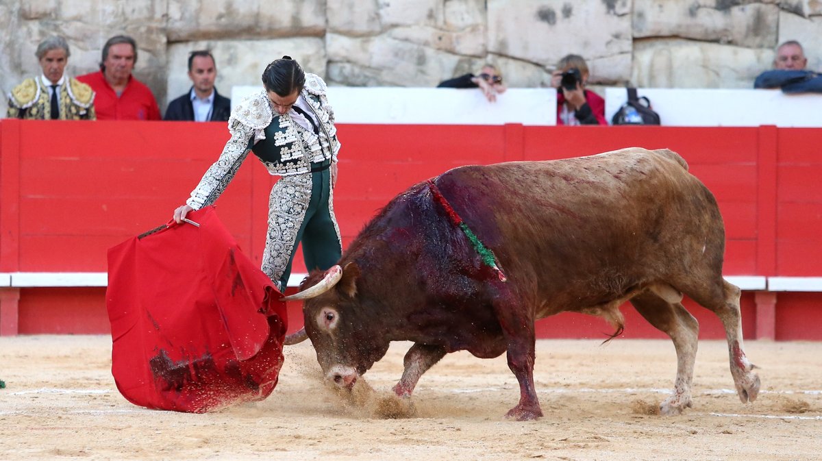 Corrida mixte avec des toros d'El Capeo et Victoriano del Rio pour la despedida de Pablo Hermoso de Mendoza, Alejandro Talavante et Juan Ortega (Photo Anthony Maurin)