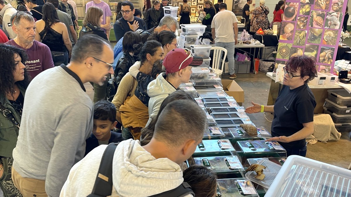 Salon Reptiliades 2024 au Parc des Expos de Nîmes (Photo Anthony Maurin)