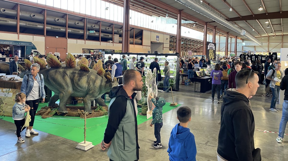 Salon Reptiliades 2024 au Parc des Expos de Nîmes (Photo Anthony Maurin)