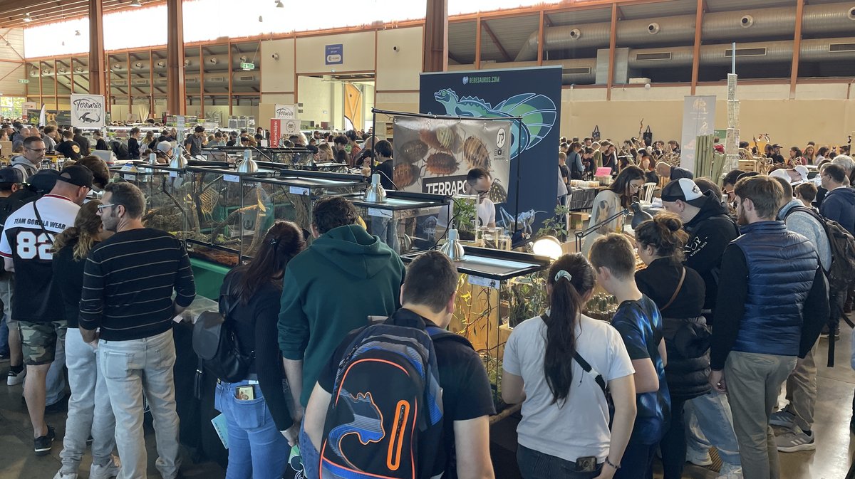 Salon Reptiliades 2024 au Parc des Expos de Nîmes (Photo Anthony Maurin)