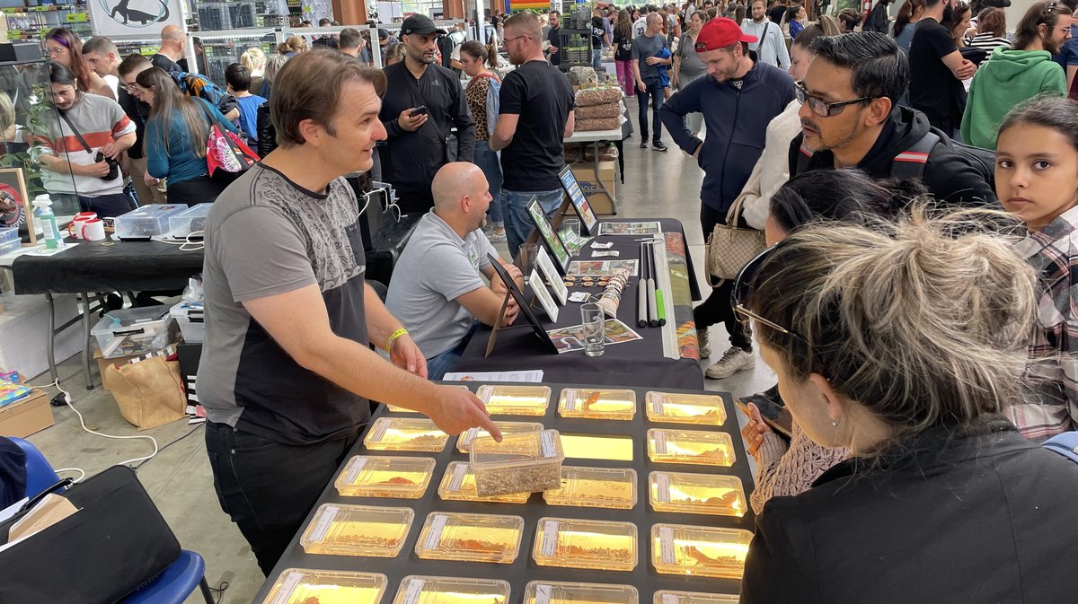 Salon Reptiliades 2024 au Parc des Expos de Nîmes (Photo Anthony Maurin)