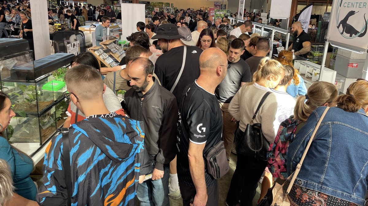 Salon Reptiliades 2024 au Parc des Expos de Nîmes (Photo Anthony Maurin)