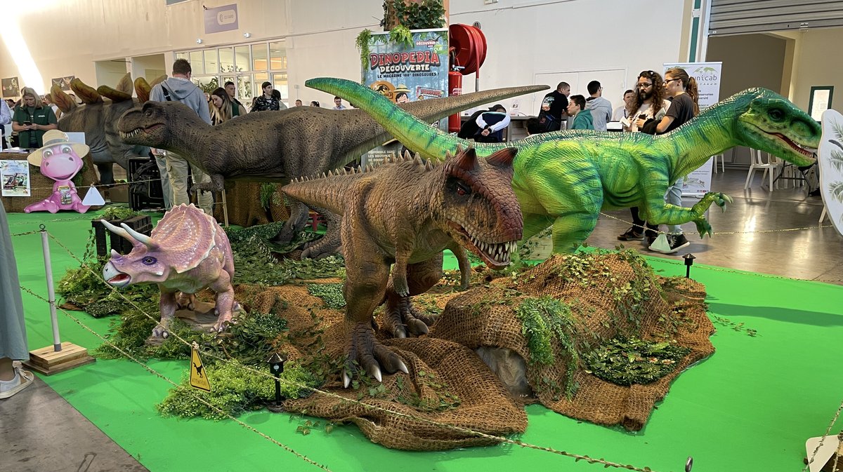 Salon Reptiliades 2024 au Parc des Expos de Nîmes (Photo Anthony Maurin)