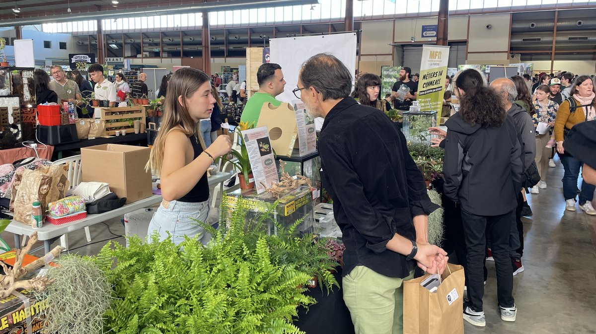 Salon Reptiliades 2024 au Parc des Expos de Nîmes (Photo Anthony Maurin)