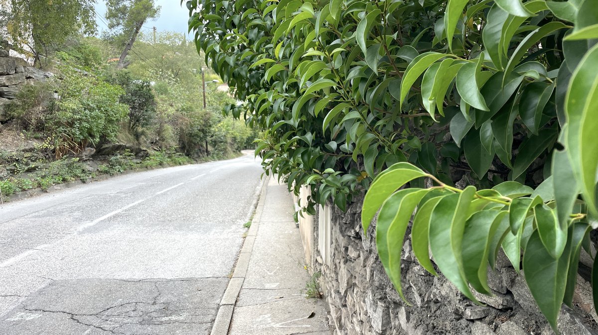 Chemin de Tire Cul Nîmes sens unique octobre 2024 (Photo Anthony Maurin)